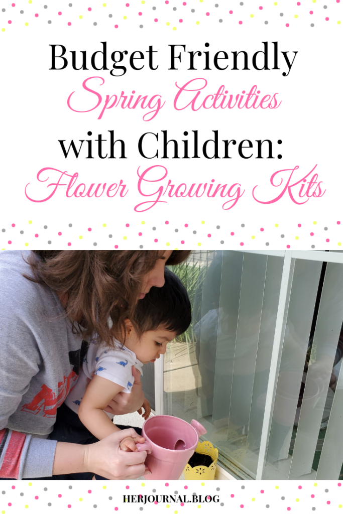 Budget Friendly Spring Activities with Children: Flower Growing Kits