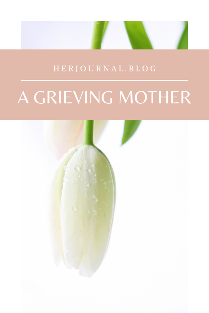A Grieving Mother | HerJournal.blog